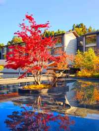 【ROKU京都】京都で最大の屋外温泉プール&紅葉が美しい日本庭園