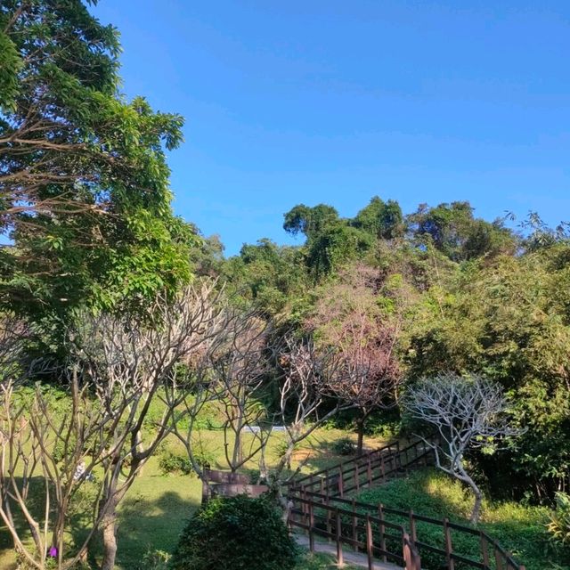 幽靜的碧湖登山步道