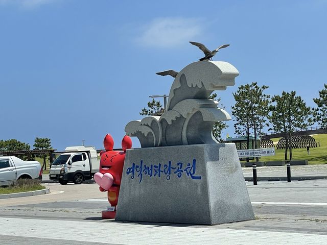 겨울엔 제철대게지🦀 영덕 해파랑공원과 동광어시장