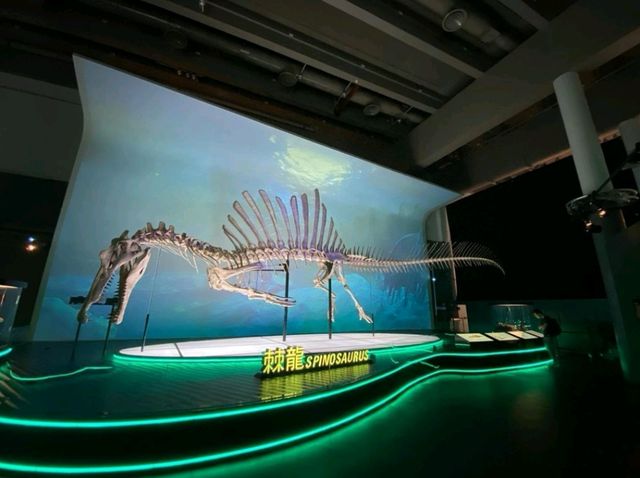 THE BIG 8 DINOSAUR FOSSILS