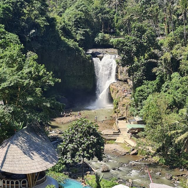 amazing waterfall in Bali 