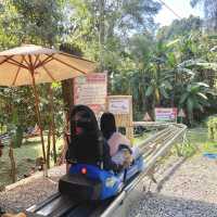 Pongyang Zipline and Jungle Coaster