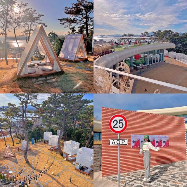 울산에 가면 꼭 가야 하는 곳 TOP 5 📍