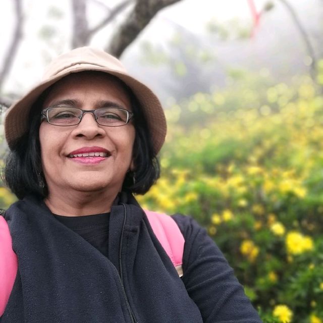 A foggy day at Fan Si Pan mountain base