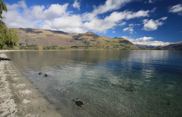 紐西蘭最愛小鎮之一Wanaka