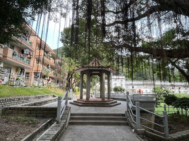 走訪曾大屋，以及旁邊嘅曾大屋遊樂場