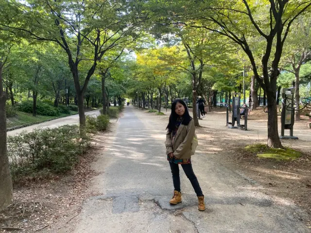 Seoul Forest 🌲🌲