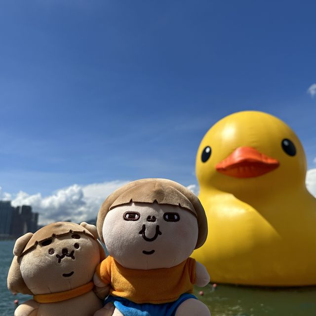 Fatty Puffy meet Duckys