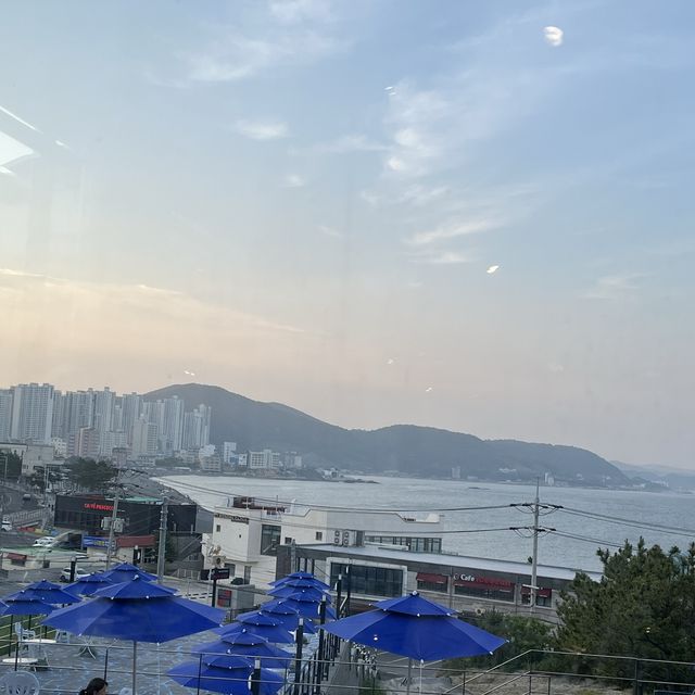 강동 몽돌해변이 보이는 오션뷰카페, 아주로마레