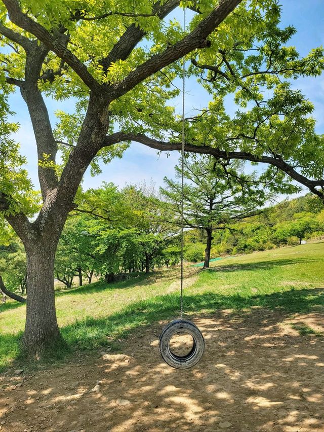 초록 가득한 힐링 한스푼🌿경주 최애여행코스💚