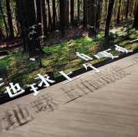 時代廣場沉浸式展覽「伊人森弦」