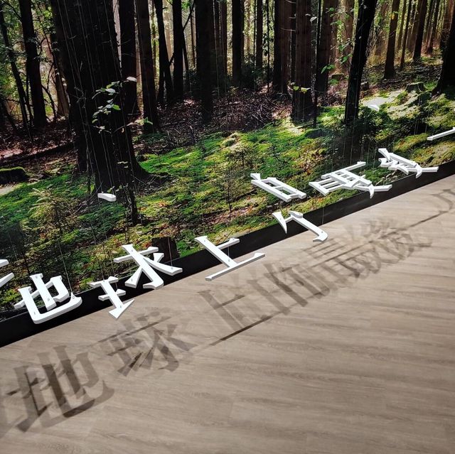 時代廣場沉浸式展覽「伊人森弦」
