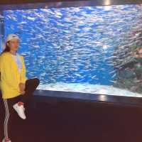 広島　マリホ水族館