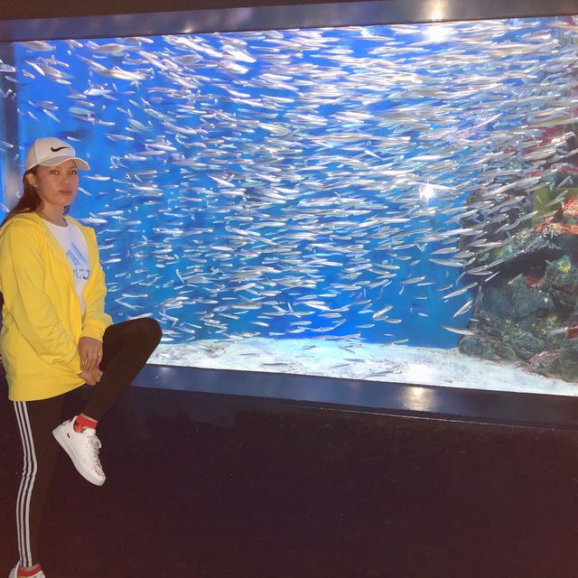 広島　マリホ水族館