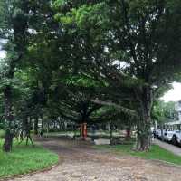 莒光環保公園