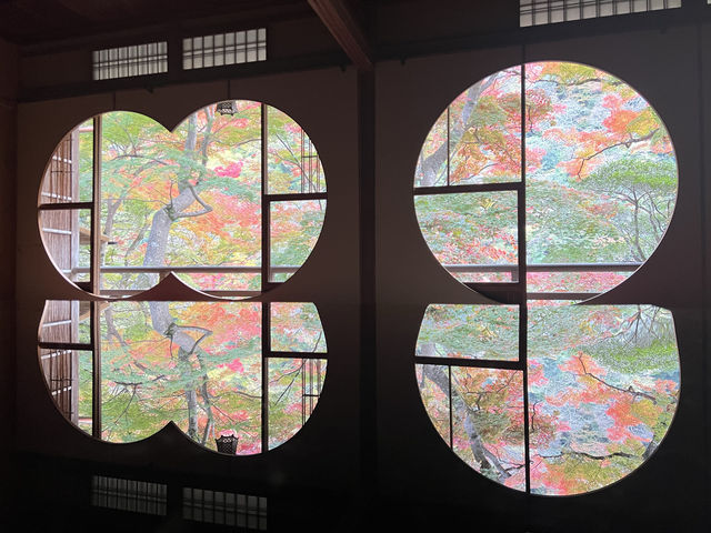 【京都 秋の嵐山】祐斎亭