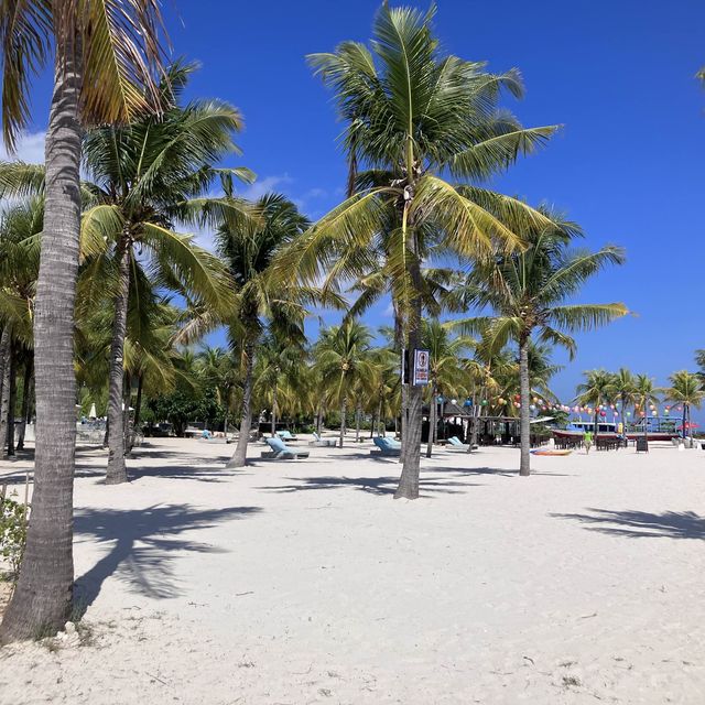 Nusa Lembongan 🦎🏝️