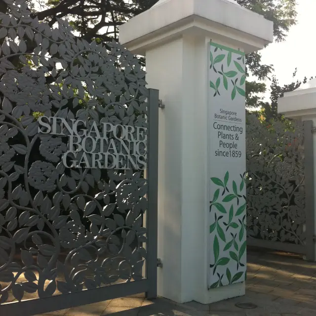 新加坡植物園自然生態遊🌲🐥