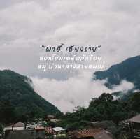 ผาฮี้ เชียงราย เที่ยวได้แบบชิลๆ