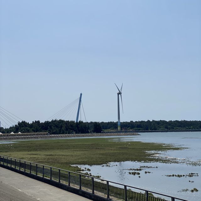 高美濕地☀️