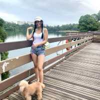 MacRitchie Reservoir ☀️🍀