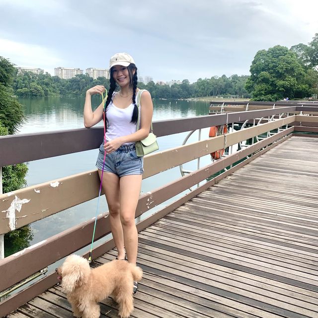 MacRitchie Reservoir ☀️🍀