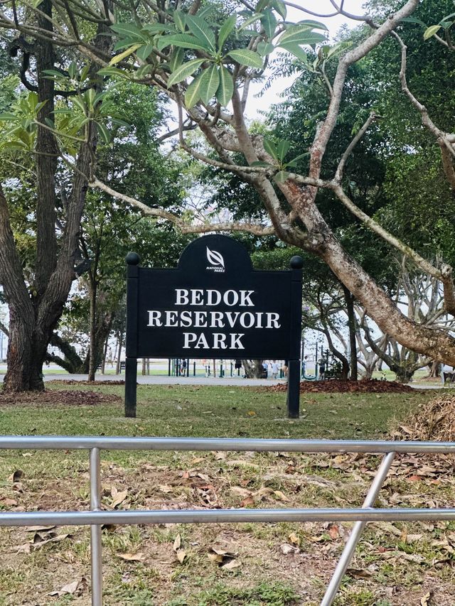 💫Bedok Reservoir💫neighbourhood leisure park