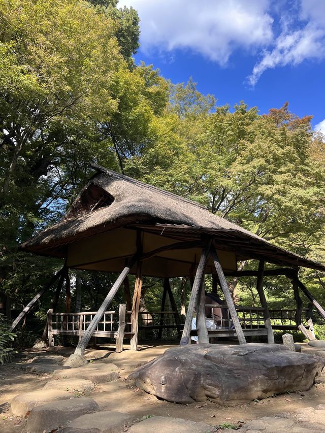 東京【駒込】六義園
