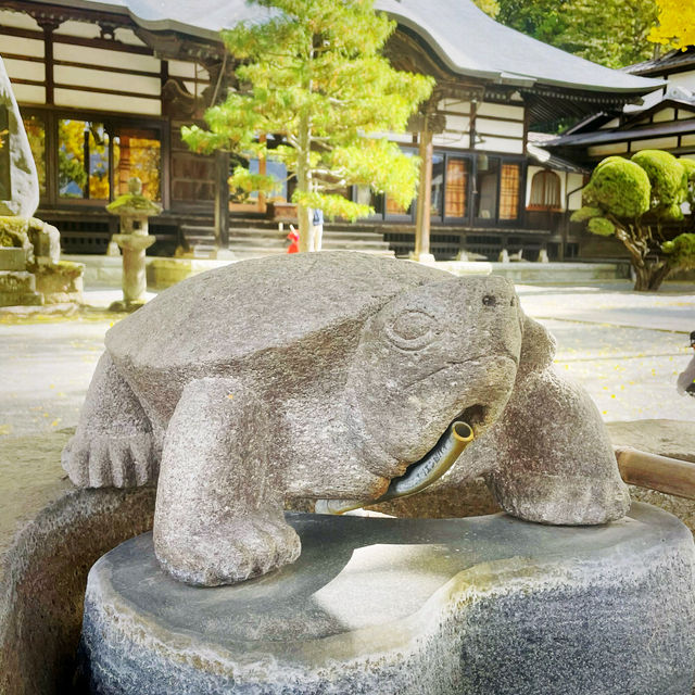 【長野県/高さ40mの夫婦銀杏が美しく紅葉を始めた佛法紹隆寺】