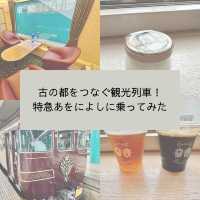 【奈良】古の都をつなぐ観光列車！特急あをによしに乗ってみた