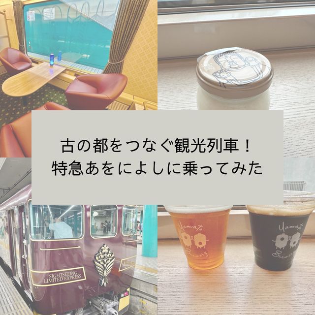 【奈良】古の都をつなぐ観光列車！特急あをによしに乗ってみた