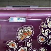【奈良】古の都をつなぐ観光列車！特急あをによしに乗ってみた