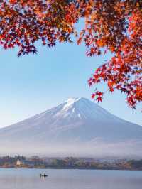 【山梨】紅葉×富士山　一度は見てみたい秋の美しい景色