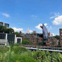 High Line: Manhattan's Urban Oasis