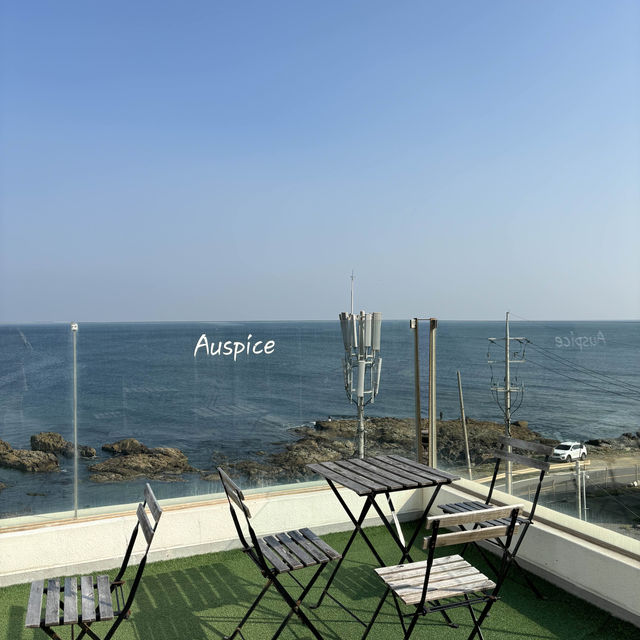 통창 포토존이 있는 감성카페 포항 [어스피스]🌊
