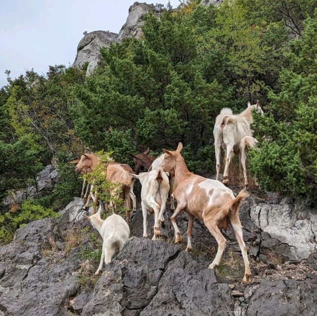 觀山看海、秋意盎然的北韋萊比特國家公園