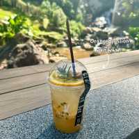 WTF Coffee Camp 🏕️☕️  
