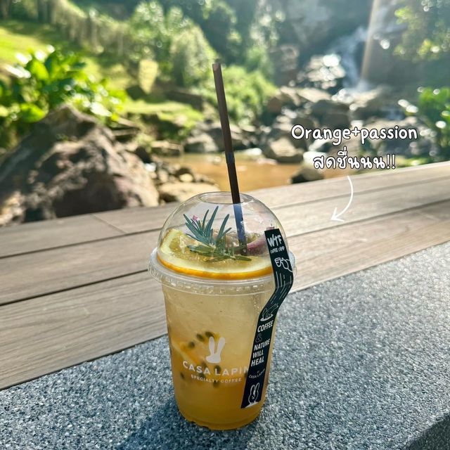 WTF Coffee Camp 🏕️☕️  