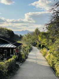 【奈良県/檜原神社】2023年行ってよかった！奈良県の神社④
