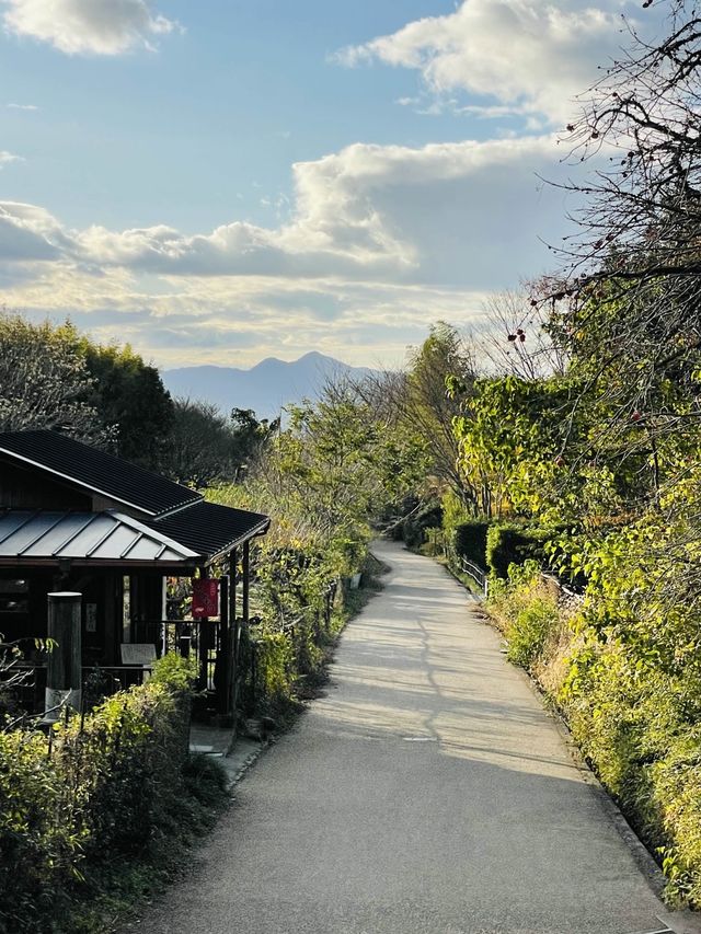 【奈良県/檜原神社】2023年行ってよかった！奈良県の神社④