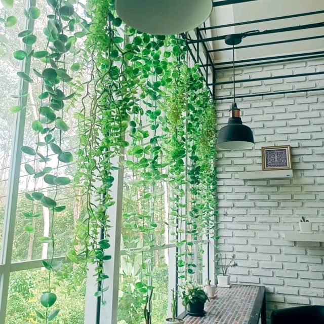 ค่าเฟ่ลับ..อ.ช้างกลาง