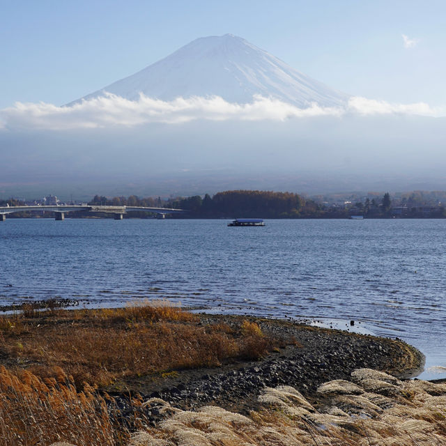 東京自由行｜一定要來河口湖富士山🗻