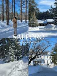 Sapporo's Snowy Charm ❄️🏙️