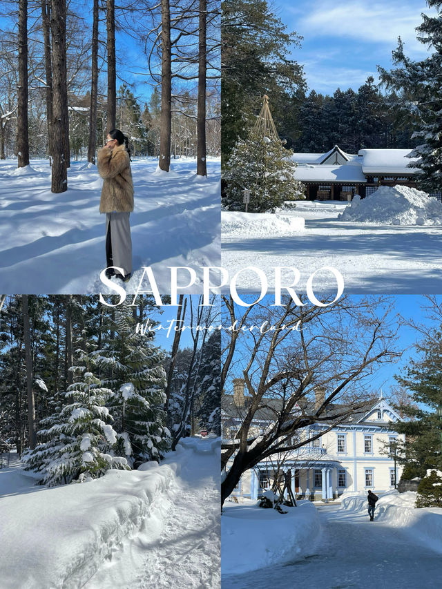 Sapporo's Snowy Charm ❄️🏙️