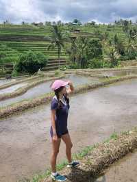 Bali's Enchanted Jatiluwih Rice Terraces