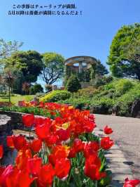 【横浜】無料の映えスポット💐お花畑で可愛いお写真を撮ろっ💐