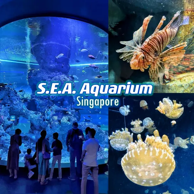 Fasinating & educational aquarium tour!