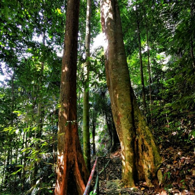 Soga Perdana Amenity Forest nature getaway🍃