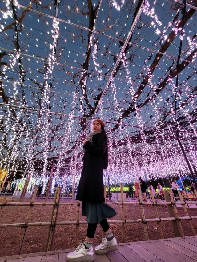 Ashikaga Flower Park Illumination 