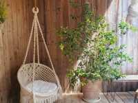 คาเฟ่สวยเขาใหญ่ The Birder's Lodge